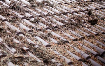 Ramsley roof cleaning companies